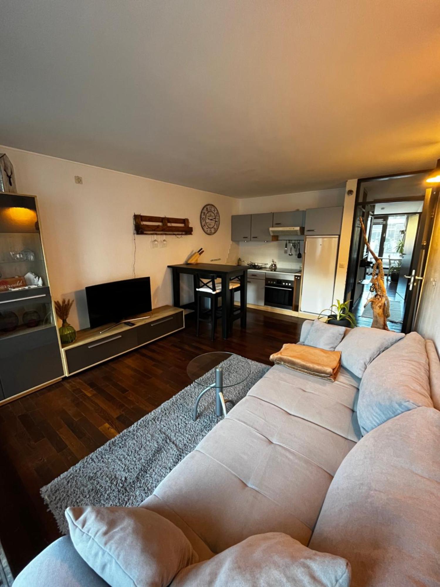 Terrassenwohnung Mit Toller Aussicht & Zentrumsnah Hornberg Exterior foto